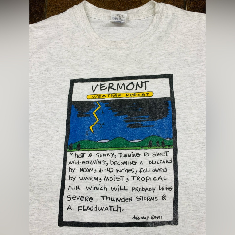 1995 Vermont Weather Report Tee Vintage